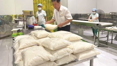 Doanh nghiệp Thái Bình tăng tốc sản xuất ngay sau Tết Doanh nghiệp Thái Bình tăng tốc sản xuất ngay sau Tết