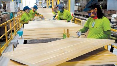 Doanh nghiệp có đơn hàng trở lại, ngành gỗ khởi sắc