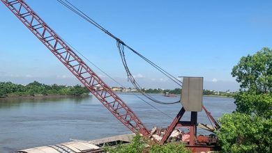 Thái Bình: Quyết liệt giải tỏa vi phạm hành lang đê điều