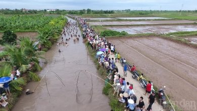 Hải Dương: Khai thác giá trị văn hóa phục vụ phát triển du lịch Hải Dương: Khai thác giá trị văn hóa phục vụ phát triển du lịch