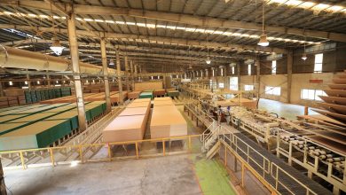 Dự báo tươi sáng cho ngành gỗ của MDF VRG