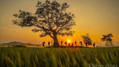 Nhớ về Tây Nguyên đại ngàn Nhớ về Tây Nguyên đại ngàn
