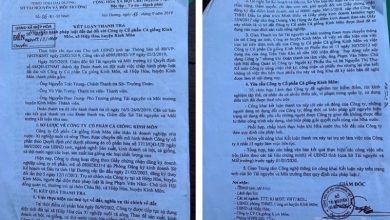 Hải Dương: Vì sao Công ty Cổ phần cá giống Kinh Môn bị thu hồi đất?