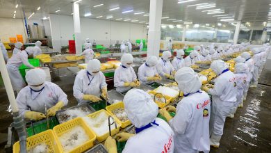 Doanh nghiệp liên tiếp gặp khó, tăng trưởng kinh tế “trông” vào đâu? Doanh nghiệp liên tiếp gặp khó, tăng trưởng kinh tế “trông” vào đâu?