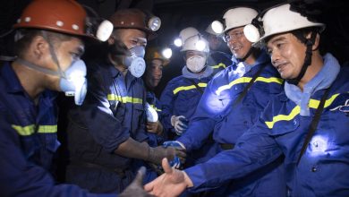 TKV: Song hành sản xuất kinh doanh và chia sẻ trách nhiệm cộng đồng TKV: Song hành sản xuất kinh doanh và chia sẻ trách nhiệm cộng đồng