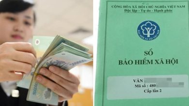 BHXH Việt Nam: Hướng dẫn thu BHXH, BHYT, BHTN, bảo hiểm TNLĐ-BNN theo mức lương cơ sở mới BHXH Việt Nam: Hướng dẫn thu BHXH, BHYT, BHTN, bảo hiểm TNLĐ-BNN theo mức lương cơ sở mới