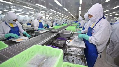 Sáng kiến ESG hỗ trợ doanh nghiệp Việt thích ứng tiêu chuẩn quốc tế Sáng kiến ESG hỗ trợ doanh nghiệp Việt thích ứng tiêu chuẩn quốc tế