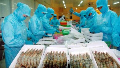 Doanh nghiệp xuất khẩu có thể mất thị phần vì chiếc… khay nhựa