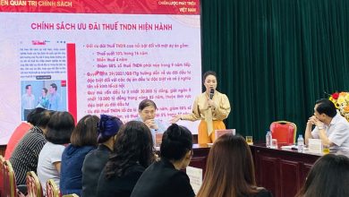 Doanh nghiệp cần chủ động ứng phó với thuế tối thiểu toàn cầu