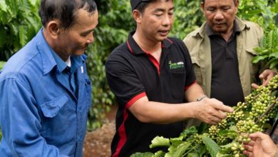 Hỗ trợ doanh nghiệp chuyển đổi mô hình kinh doanh tuần hoàn Hỗ trợ doanh nghiệp chuyển đổi mô hình kinh doanh tuần hoàn