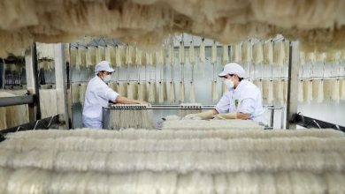 Hà Nội tìm giải pháp tăng tỷ lệ sản phẩm nông nghiệp ứng dụng công nghệ cao Hà Nội tìm giải pháp tăng tỷ lệ sản phẩm nông nghiệp ứng dụng công nghệ cao