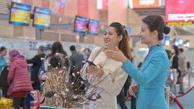 Vietnam Airlines vận chuyển cành đào và mai Vietnam Airlines vận chuyển cành đào và mai