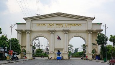 Doanh thu quý IV tăng đột biến, NTL lãi cao kỷ lục