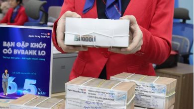 Áp lực chất lượng tài sản trong quý cuối năm 2023 và 2024 của các ngân hàng