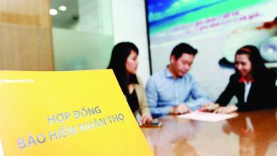 Lá chắn bảo hiểm Lá chắn bảo hiểm