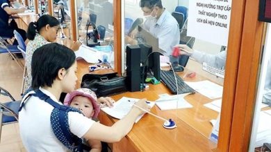 Lệch pha cung – cầu thị trường lao động