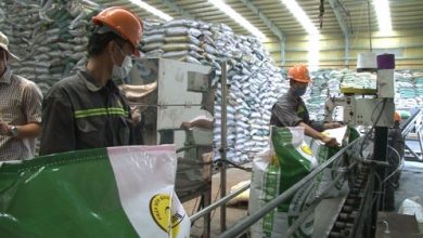 Phân bón Bình Điền đồng hành cùng nông dân Việt