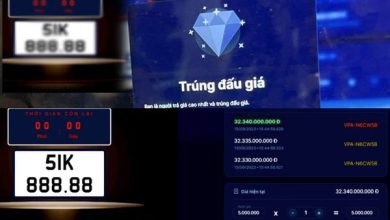 Bỏ cọc đấu giá, chốt giá “vô tội vạ”: Cần xử nghiêm để răn đe Bỏ cọc đấu giá, chốt giá “vô tội vạ”: Cần xử nghiêm để răn đe