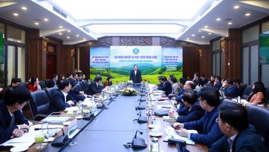 Phó Thủ tướng đề nghị Bộ NN&PTNT quan tâm đặc biệt gỡ "thẻ vàng" IUU Phó Thủ tướng đề nghị Bộ NN&PTNT quan tâm đặc biệt gỡ "thẻ vàng" IUU