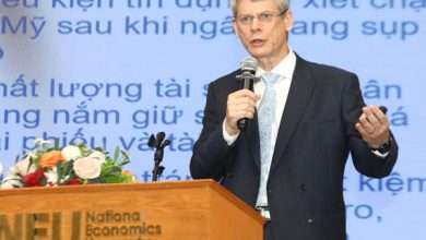 Việt Nam cần nhiều công cụ chính sách tài khoá hơn Việt Nam cần nhiều công cụ chính sách tài khoá hơn