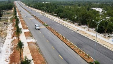 Kêu trời vì lệnh cấm Quảng Nam - Bài 1: Doanh nghiệp vận tải điêu đứng Kêu trời vì lệnh cấm Quảng Nam - Bài 1: Doanh nghiệp vận tải điêu đứng