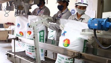 Cân nhắc việc áp thuế VAT 5% với phân bón và vật tư nông nghiệp