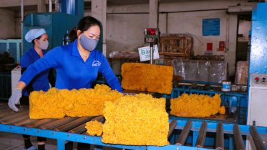 PHR chờ hưởng lợi từ tiêu thụ ô tô tại Trung Quốc