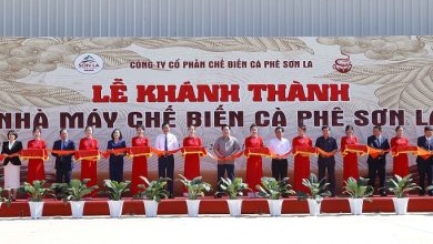 WinCommerce đồng hành cùng tỉnh Sơn La phát triển nguồn cung cà phê bền vững