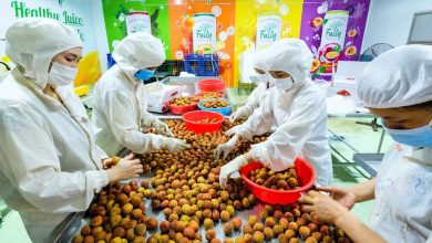 Nhiều tín hiệu tích cực, xuất khẩu nông lâm thuỷ sản đạt hơn 38 tỷ USD