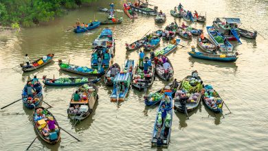 Doanh nghiệp kỳ vọng doanh thu du lịch sẽ tăng trưởng mạnh trong năm 2024 Doanh nghiệp kỳ vọng doanh thu du lịch sẽ tăng trưởng mạnh trong năm 2024