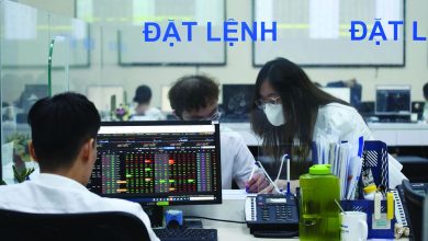 “Bắt nhịp” cổ phiếu cuối năm