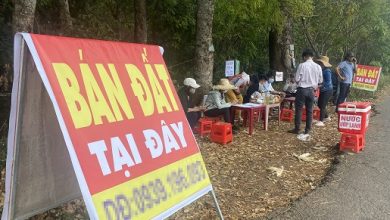 “Cò đất” hết đường bát nháo “Cò đất” hết đường bát nháo