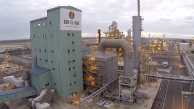 Giá vốn tăng cao “ăn mòn” lợi nhuận của DCM Giá vốn tăng cao “ăn mòn” lợi nhuận của DCM