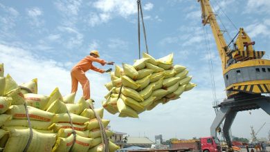 Khơi dòng tiền cho doanh nghiệp sản xuất: Giảm áp lực vốn