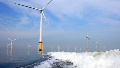 GAS và PVS "nổi sóng" nhờ đâu?