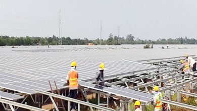 Thống nhất mức giá tạm thời với 15 nhà máy điện gió, điện mặt trời Thống nhất mức giá tạm thời với 15 nhà máy điện gió, điện mặt trời