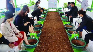 Mở rộng dư địa du lịch sức khỏe tại Quảng Nam