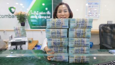 Chính sách tài khóa - tiền tệ nới lỏng mạnh, hỗ trợ tăng trưởng GDP Chính sách tài khóa - tiền tệ nới lỏng mạnh, hỗ trợ tăng trưởng GDP