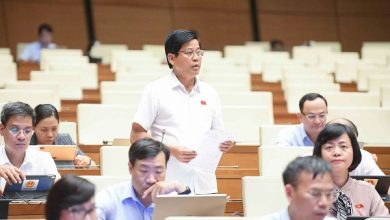 Đại biểu Quốc hội “bức xúc” vì dây cáp viễn thông “chằng chịt”