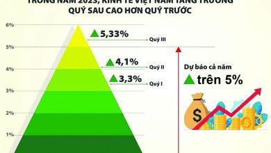 Tài khóa cần “song hành” cùng tiền tệ Tài khóa cần “song hành” cùng tiền tệ