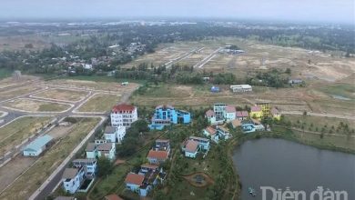 Quảng Nam cưỡng chế thi hành án với Công ty CP Bách Đạt An