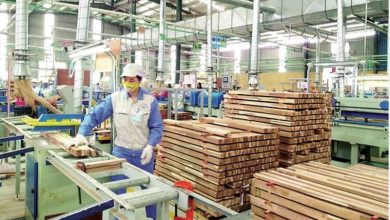 Tham vọng dẫn đầu của Central Retail tại Việt Nam Tham vọng dẫn đầu của Central Retail tại Việt Nam