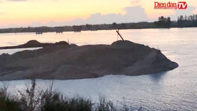 Xử lý nghiêm nhà thầu lợi dụng cơ chế đặc thù để khai thác khoáng sản Xử lý nghiêm nhà thầu lợi dụng cơ chế đặc thù để khai thác khoáng sản