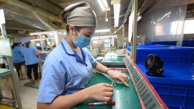 Chính sách tài khóa nên tập trung vào tạo nền tảng phục hồi tăng trưởng Chính sách tài khóa nên tập trung vào tạo nền tảng phục hồi tăng trưởng