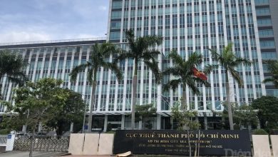 TP.HCM: Vì sao hàng loạt cán bộ ngành thuế bị kỷ luật? TP.HCM: Vì sao hàng loạt cán bộ ngành thuế bị kỷ luật?