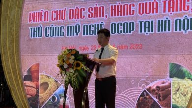 Hà Nội tìm đầu ra cho sản phẩm thủ công mỹ nghệ và OCOP