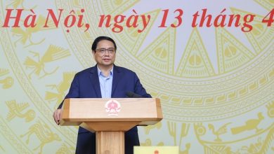 Thủ tướng chỉ đạo tháo gỡ khó khăn cho doanh nghiệp ngành gỗ và thuỷ sản