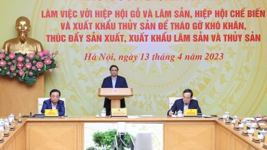 Doanh nghiệp thuỷ sản kiến nghị gói tín dụng lãi suất thấp