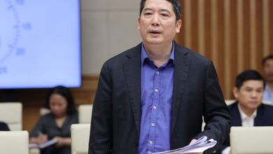 Bộ Tài chính: Không coi ngành gỗ là ngành rủi ro trong hoàn thuế VAT