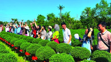 Bến Tre: Đưa du lịch phát triển bền vững Bến Tre: Đưa du lịch phát triển bền vững